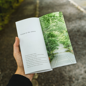 Show details for Leaflets - Folded